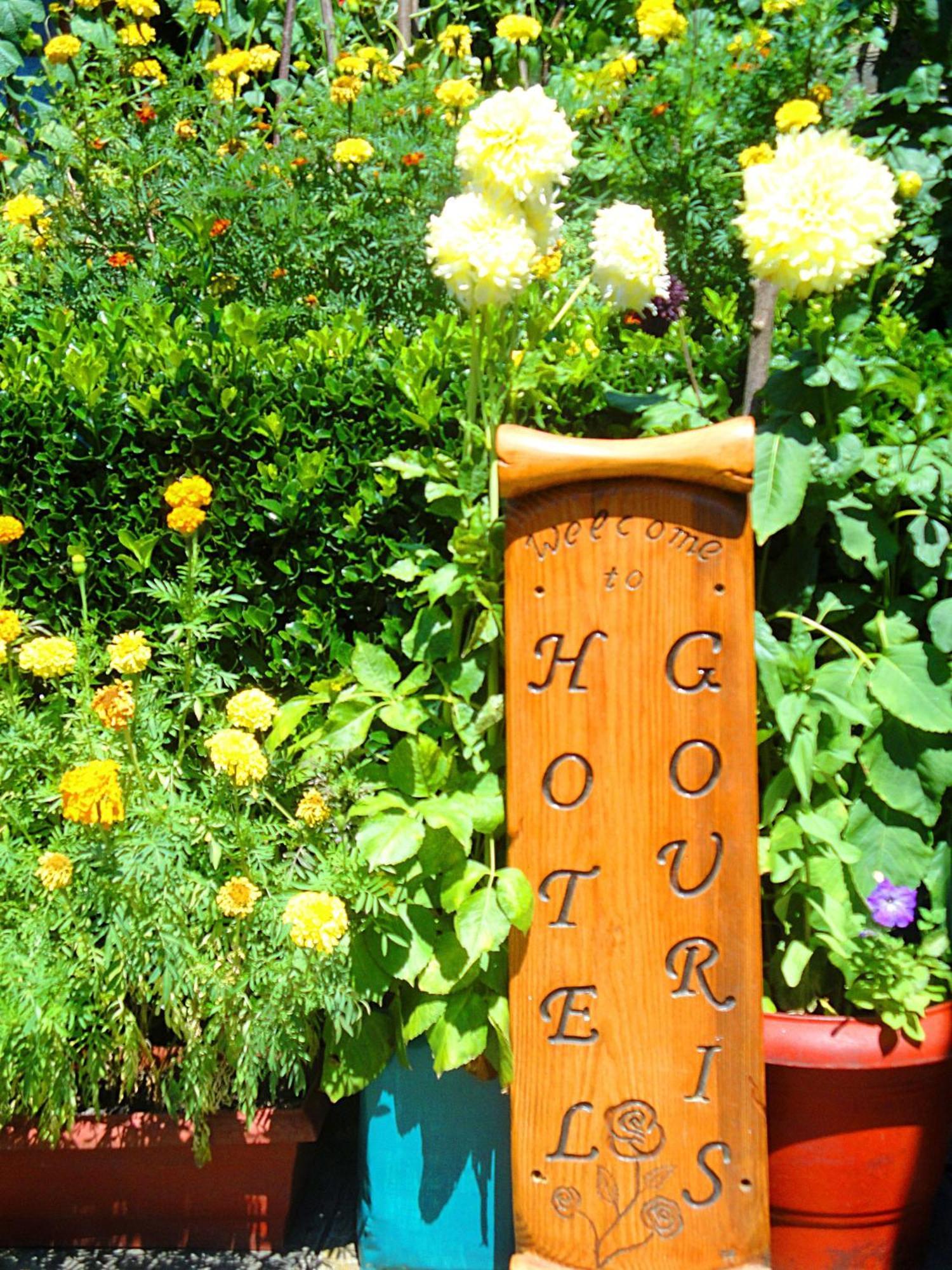 Guesthouse Gouris Tsepelovo Exteriör bild